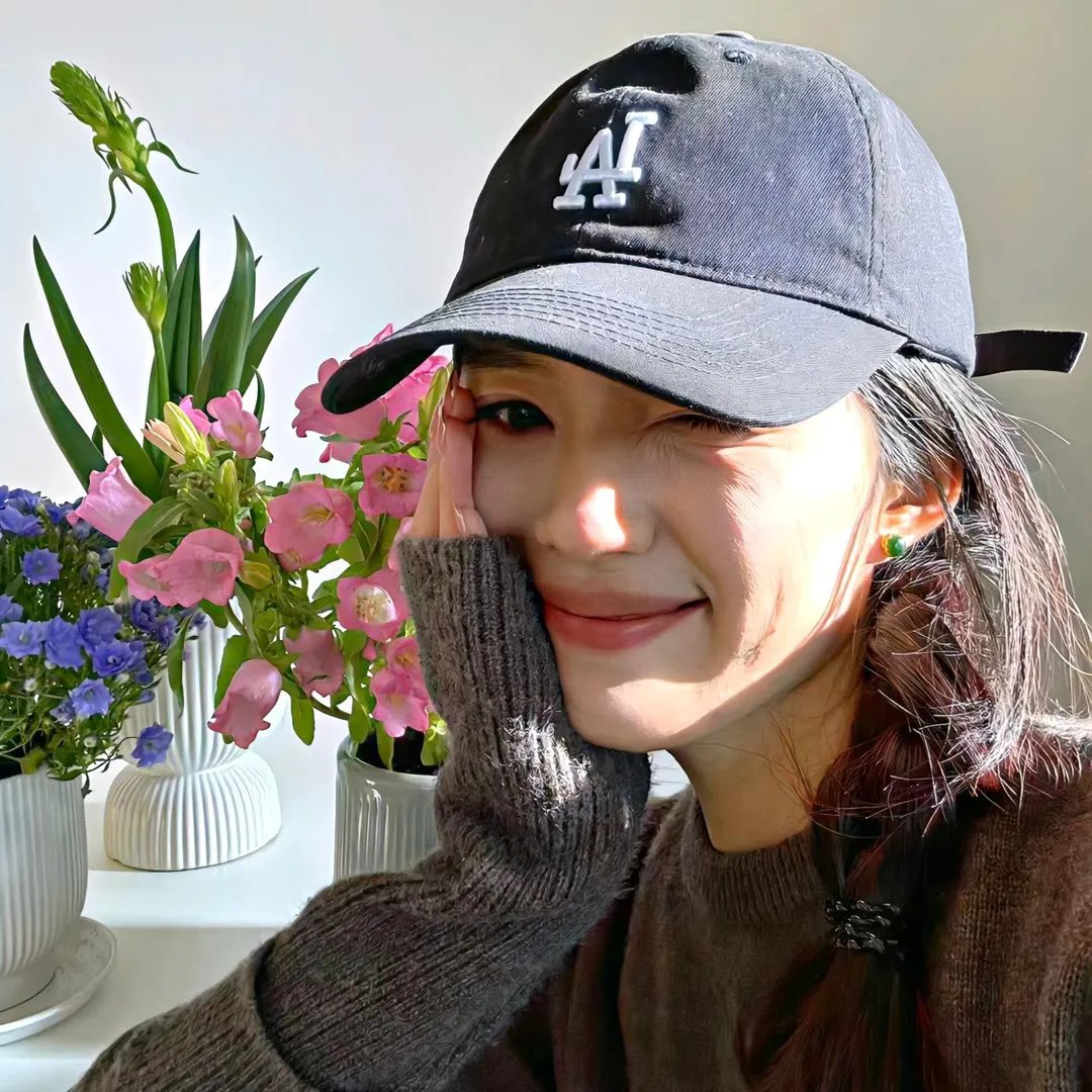 随风追寻