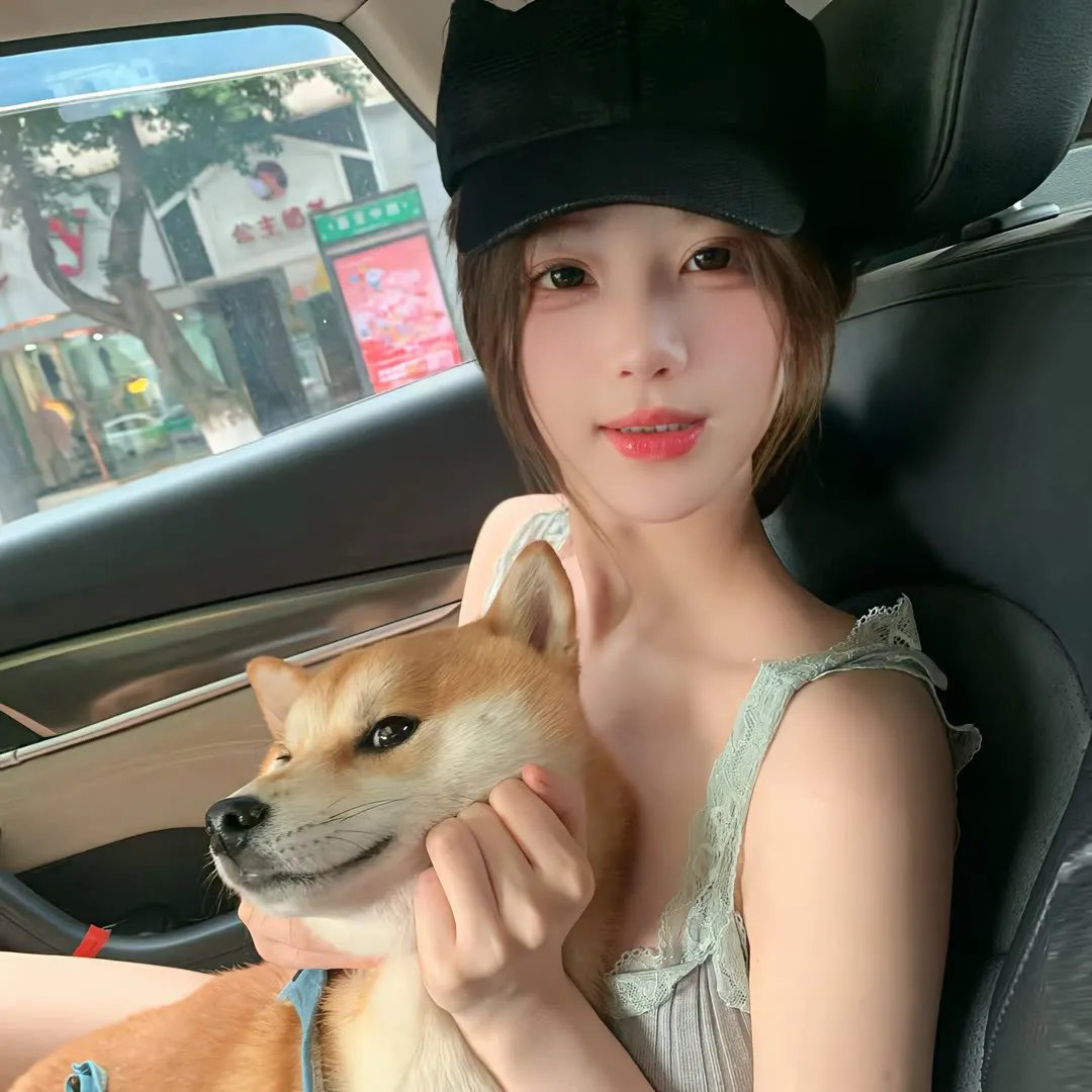 维尔·达斯：异乡游子