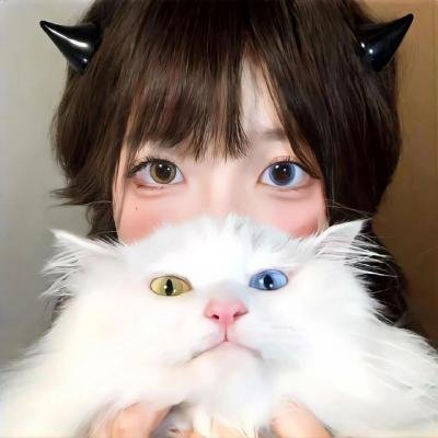 石纪元第四季